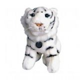 WebCam Leadership USB Web Tiger 480 USB